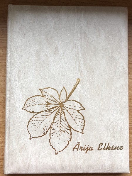 Es neticu, ka var bez cilvēkiem