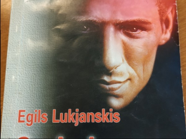 Sprieduma izpildītājs