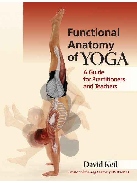 Functional anatomy of yoga