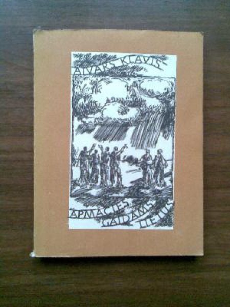 Apmācies, gaidāms lietus