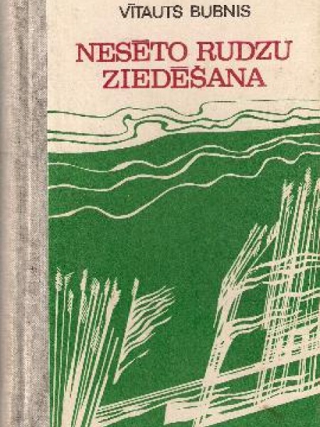 Nesēto rudzu ziedēšana 