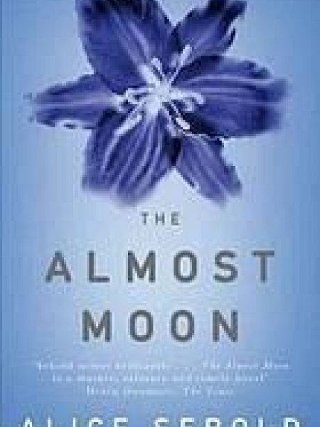 The Almost Moon