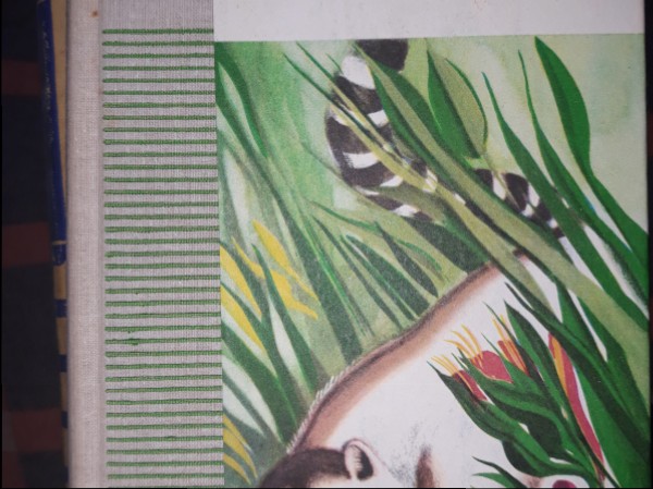 Apskurbušais mežs. Noslēpumaino trokšņu zeme