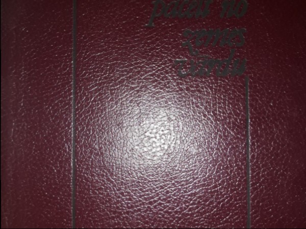 Pacelt no zemes vārdu