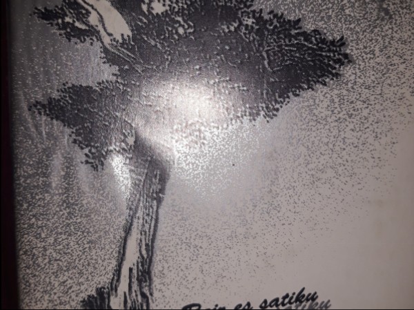 Reiz es satiku Kārli Ulmani