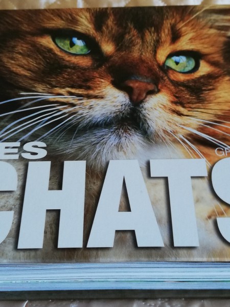 Les Chats