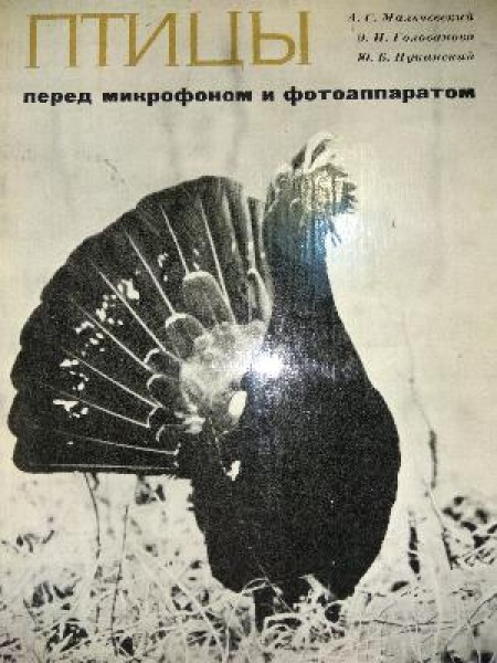 Птицы перед микрофоном и фотоаппаратом 