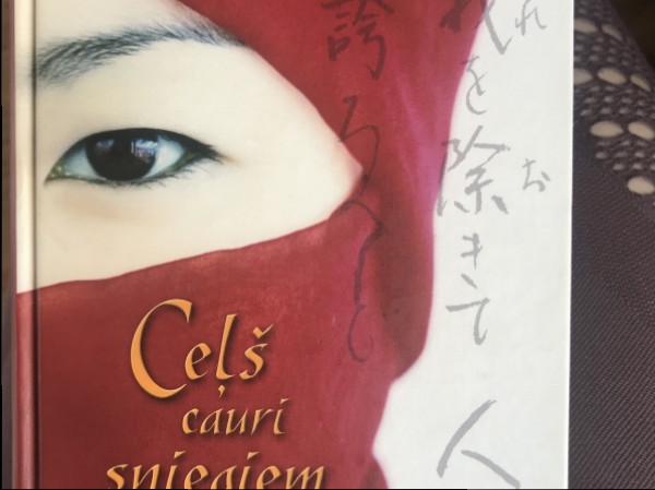 Ceļš cauri sniegiem