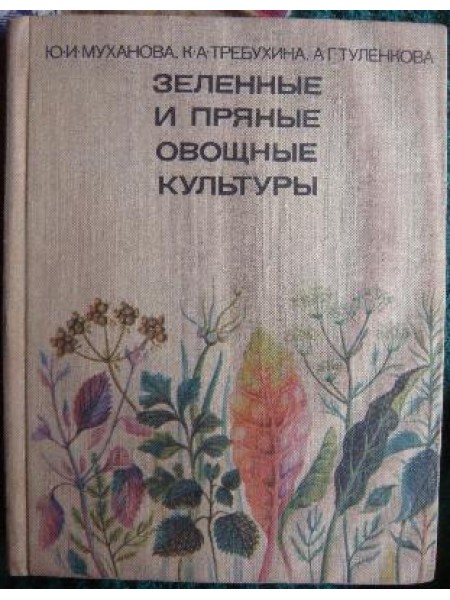 Зеленые и пряные овощные культуры 