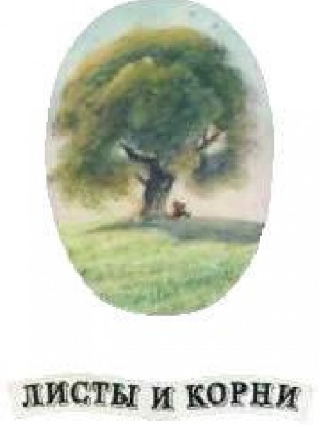 Листы и корни 