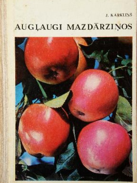 Augļaugi mazdārziņos 