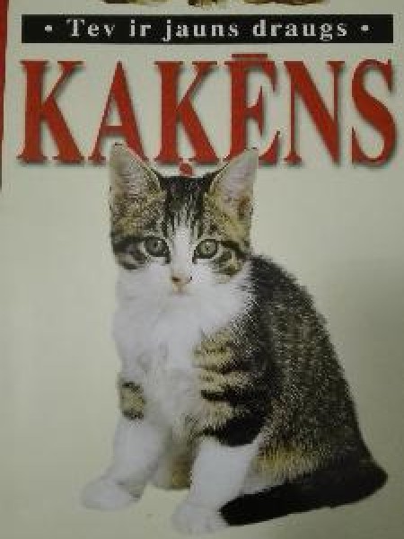 Tev ir jauns draugs, kaķēns 