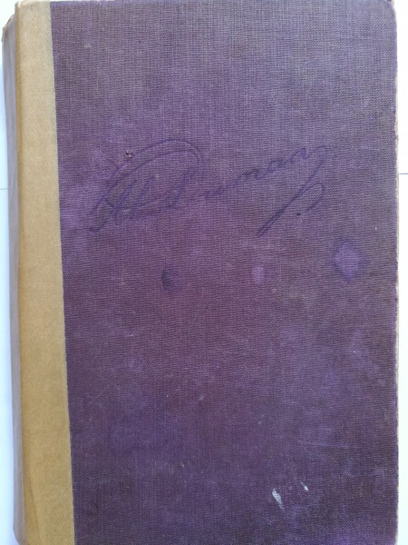 Sarkanās Mājas bruņinieks