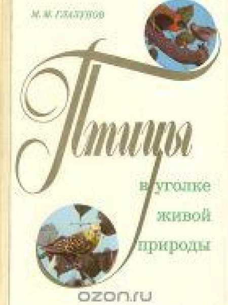 Птицы в уголке живой природы 