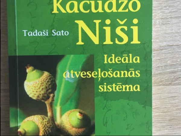 Kacudzo Niši ideāla atveseļošanās sistēma