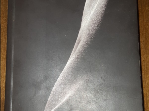 Deviņdesmit dienas Ženevjēvai