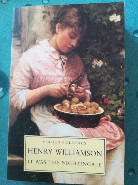 It was a Nightingale