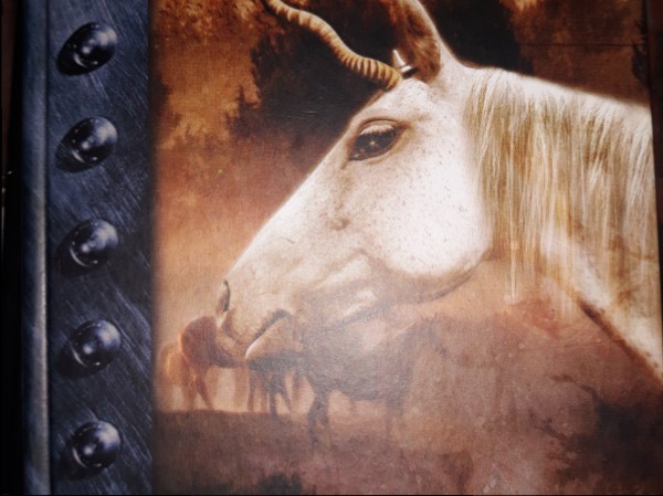 Pēdējais vienradzis