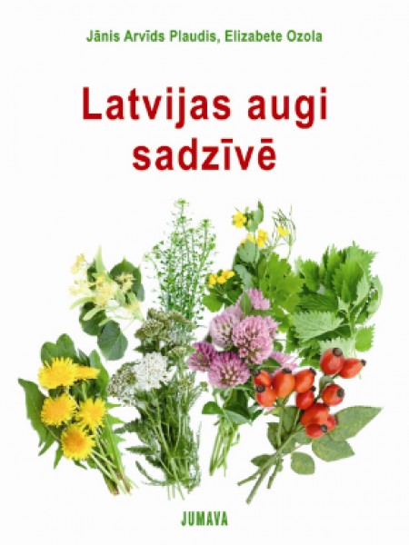 Latvijas augi sadzīvē