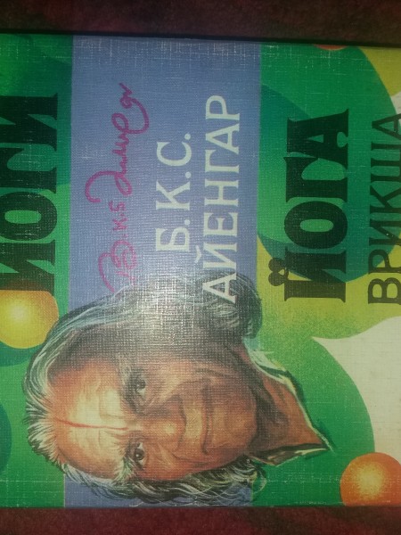 Йога врикша