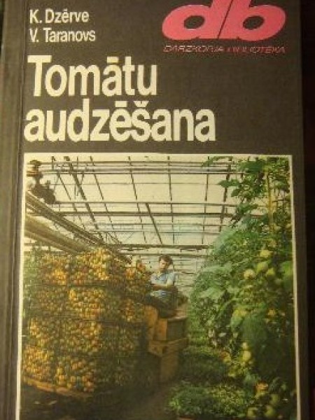 Tomātu audzēšana
