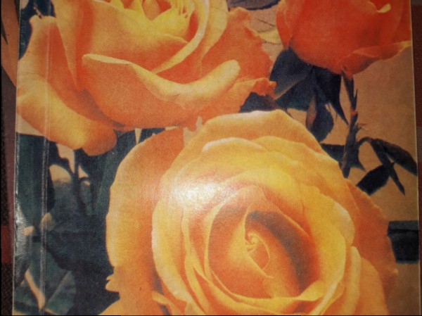 Kad mīla mostas ...