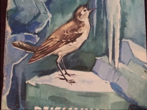 Dziesmiņas zem ledus