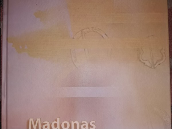 Madonas muzeja raksti