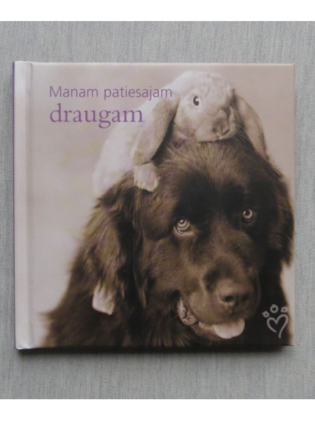 Manam patiesajam draugam