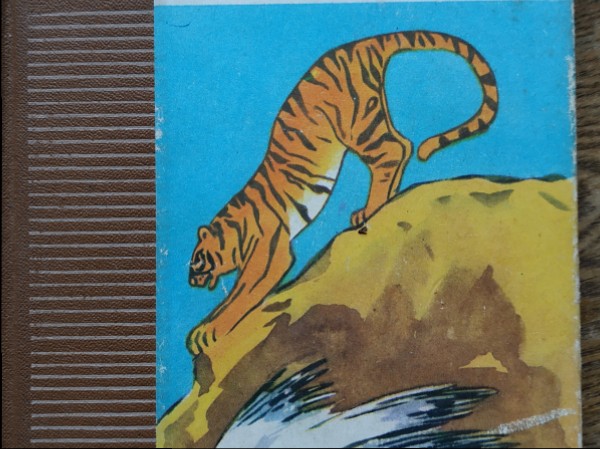 No rīta līdz vakaram