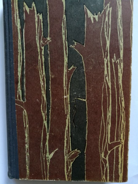 Aivara Silava dzīve