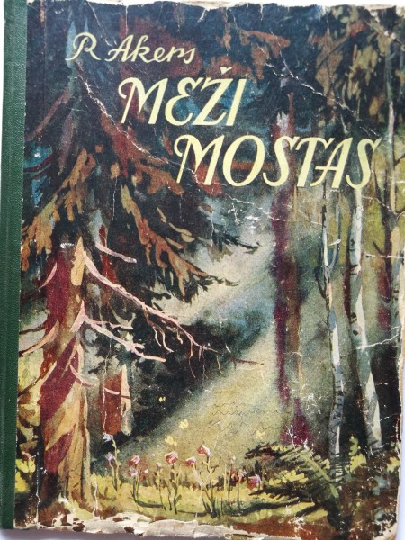 Meži mostas