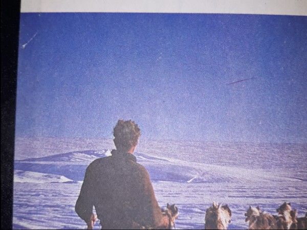 Kamanu suņi - riska biedri. Aci pret aci ar ziemeļiem.