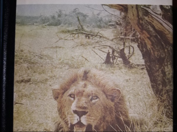 Savvaļas dzīvniekiem nav patvēruma