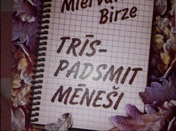 Trīspadsmit mēneši