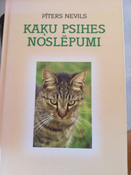Kaķu psihes noslēpumi