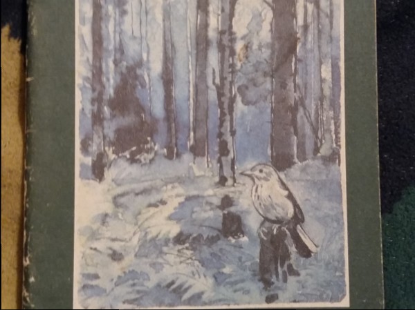 Reibeņu meža stāsti