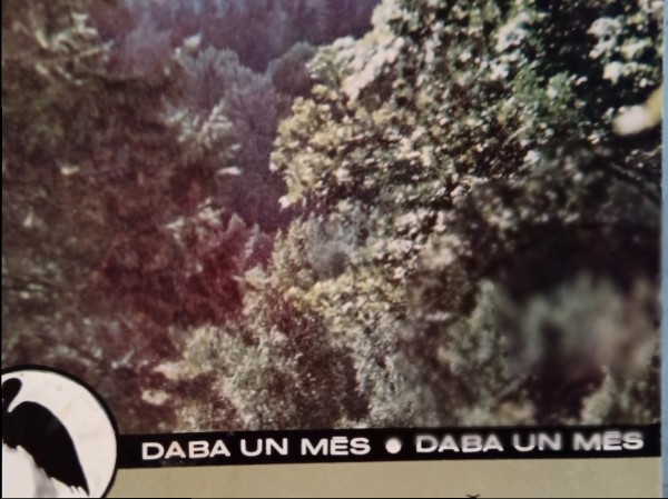 Uz mežu-ar mīlestību un zināšanām