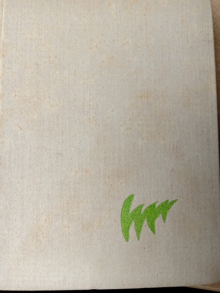 Saule sēja sudrabiņu