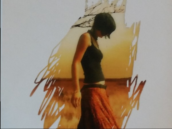 Pirmskaitļu vientulība 