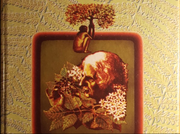 Тайные свойства растений