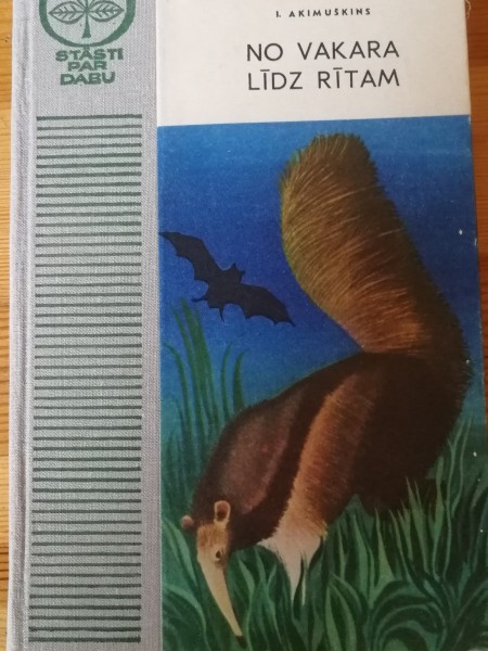 No vakara līdz rītam