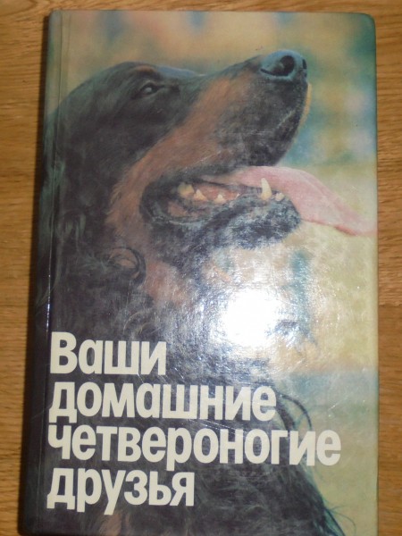ВАШИ  ДОМАШНИЕ  ЧЕТВЕРОНОГИЕ ДРУЗЬЯ