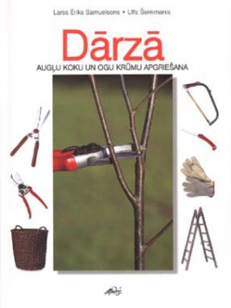 Dārzā : Augļu koku un krūmu apgriešana