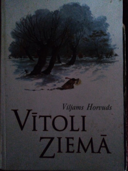 Vītoli ziemā