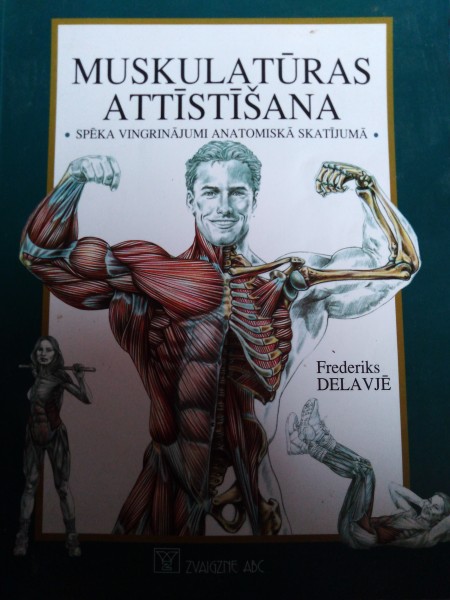 Muskulatūras attīstīšana