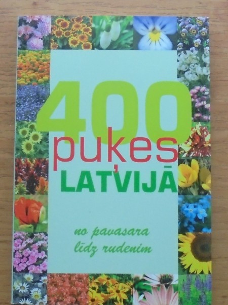 400 puķes Latvijā
