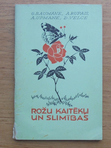 Rožu kaitēkļi un slimības