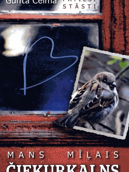 Mans mīļais Čiekurkalns