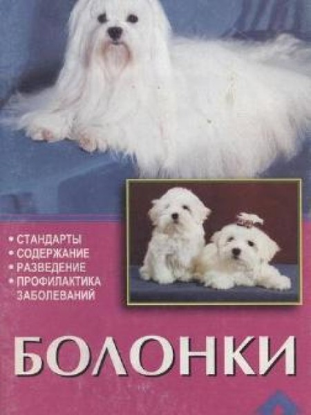Болонки